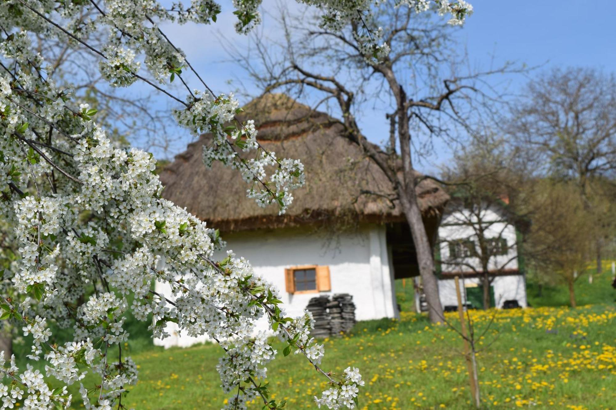 Genussgasthof & Hotel Beim Krutzler Heiligenbrunn ภายนอก รูปภาพ